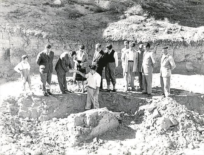 UN HALLAZGO FASCINANTE • EN ESTOS DÍAS SE CUMPLEN SESENTA AÑOS DEL DESCUBRIMIENTO CASUAL DE LOS PRIMEROS RESTOS DE UNA BALLENA EN ESPAÑA, UN HECHO QUE OCURRIÓ A LAS AFUERAS DE MONTILLA (CÓRDOBA)
