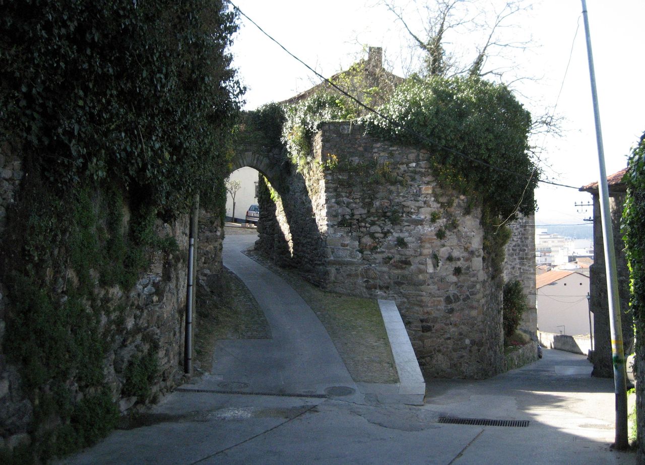 MALEZA QUE SE COME UN CASTILLO