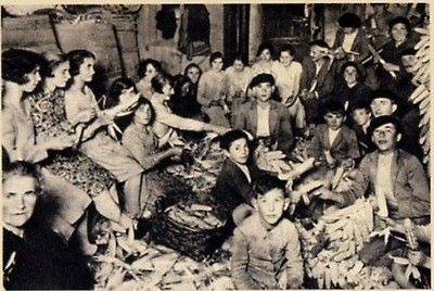 ESFOYACES Y PICARDÍES DE MOCEDÁ