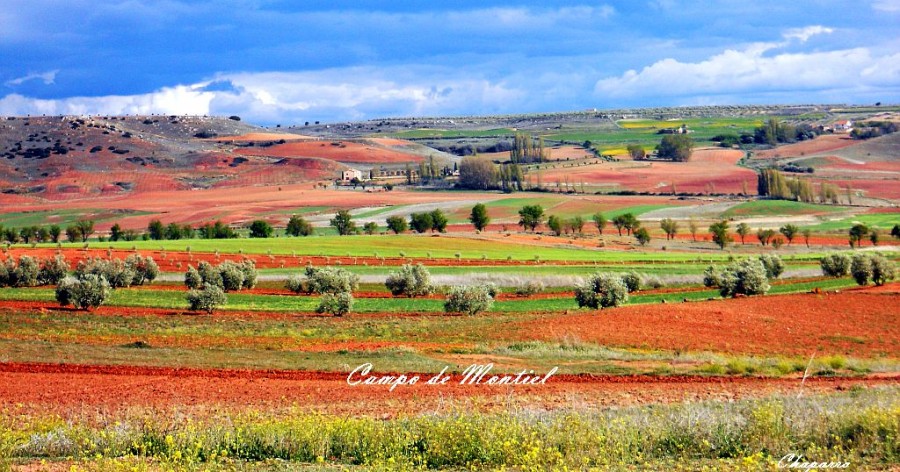 EXPEDIENTE DE PROYECTO DE PATRIMONIO DE LA HUMANIDAD PARA EL CAMPO DE MONTIEL