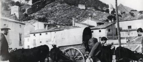 VIAJE A LA CUNA DE LA FIRA. XÀTIVA RETROCEDE A LOS ORÍGENES DE LA CELEBRACIÓN CON UN MERCADO EL DÍA DE SANT MARTÍ EN LA PLAZA SANT PERE.