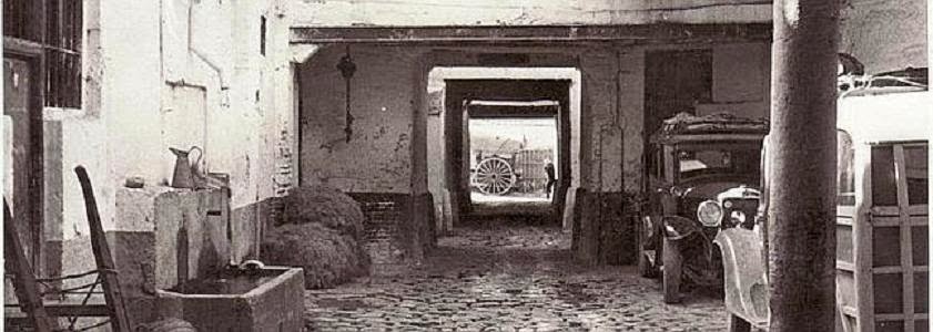 HUÉSPEDES BULLICIOSOS