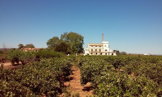 UN PASEO POR LOS HUERTOS DE BENIFAIÓ (VALENCIA)