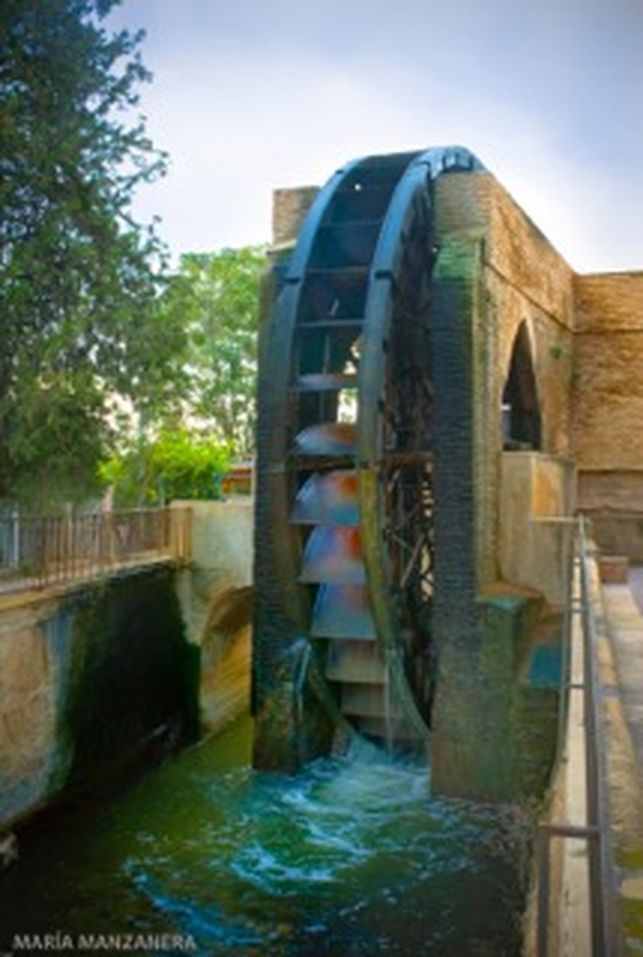 EL “BANCO DE LA ÑORA”