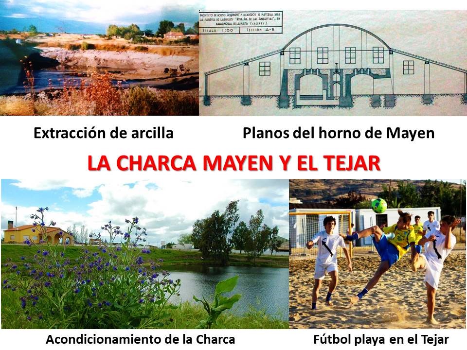 LA CHARCA MAYEN Y EL TEJAR DE NAVALMORAL