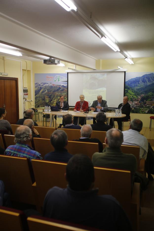DOS INVESTIGADORES CORRIGEN LA HISTORIA DE LA MINA DE TEXEO EN RIOSA (ASTURIAS) DESDE EL SIGLO XIX