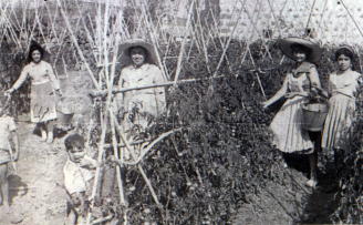 EL MÉDICO NAVARRO JOSÉ MANUEL CENZANO REMEMORA EN UN LIBRO SU VIDA EN LA ALDEA (GRAN CANARIA)