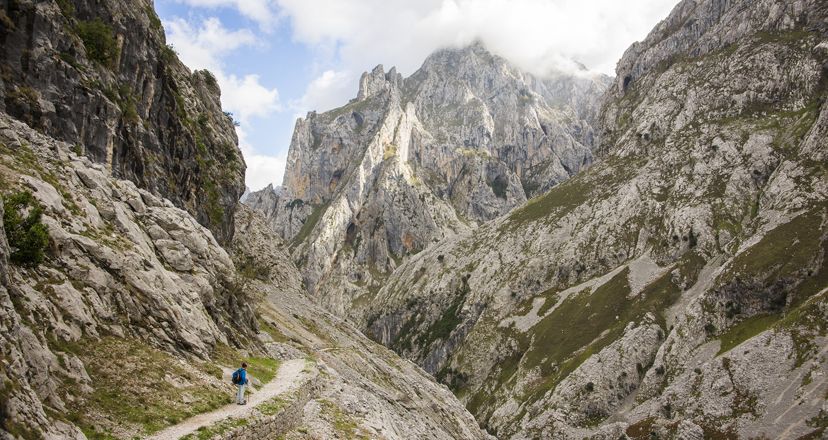 MI CASO ES CASO (ASTURIAS)