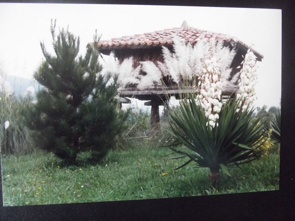 HORROS, PANERES Y FAYUELES DE CALDU