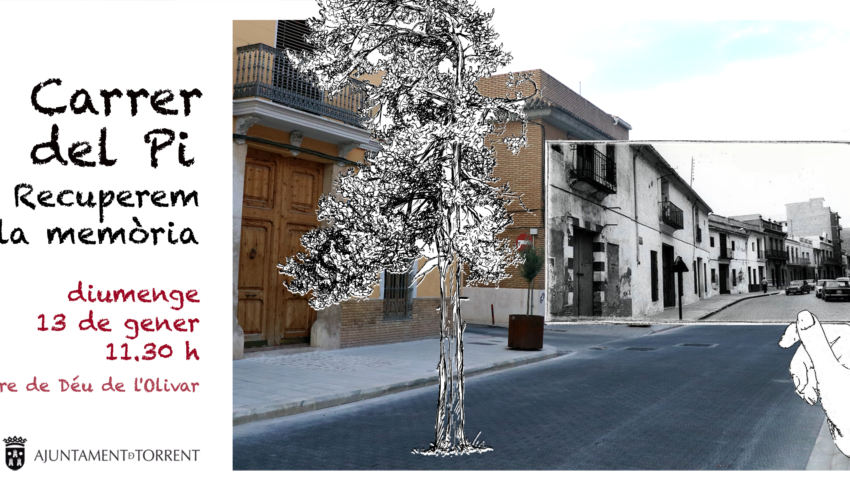 EL CARRER DEL PI DE TORRENT (VALENCIA) RECUPERA EL ÁRBOL QUE ORIGINÓ SU NOMBRE • EL CONSISTORIO PLANTA ESTE DOMINGO UN EJEMPLAR EN LA VÍA PERO REITERA QUE MANTENDRÁ MARE DE DÉU DEL OLIVAR