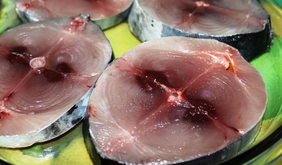 ¡BONITO DEL NORTE, UN PLACER DE PLANCHA!