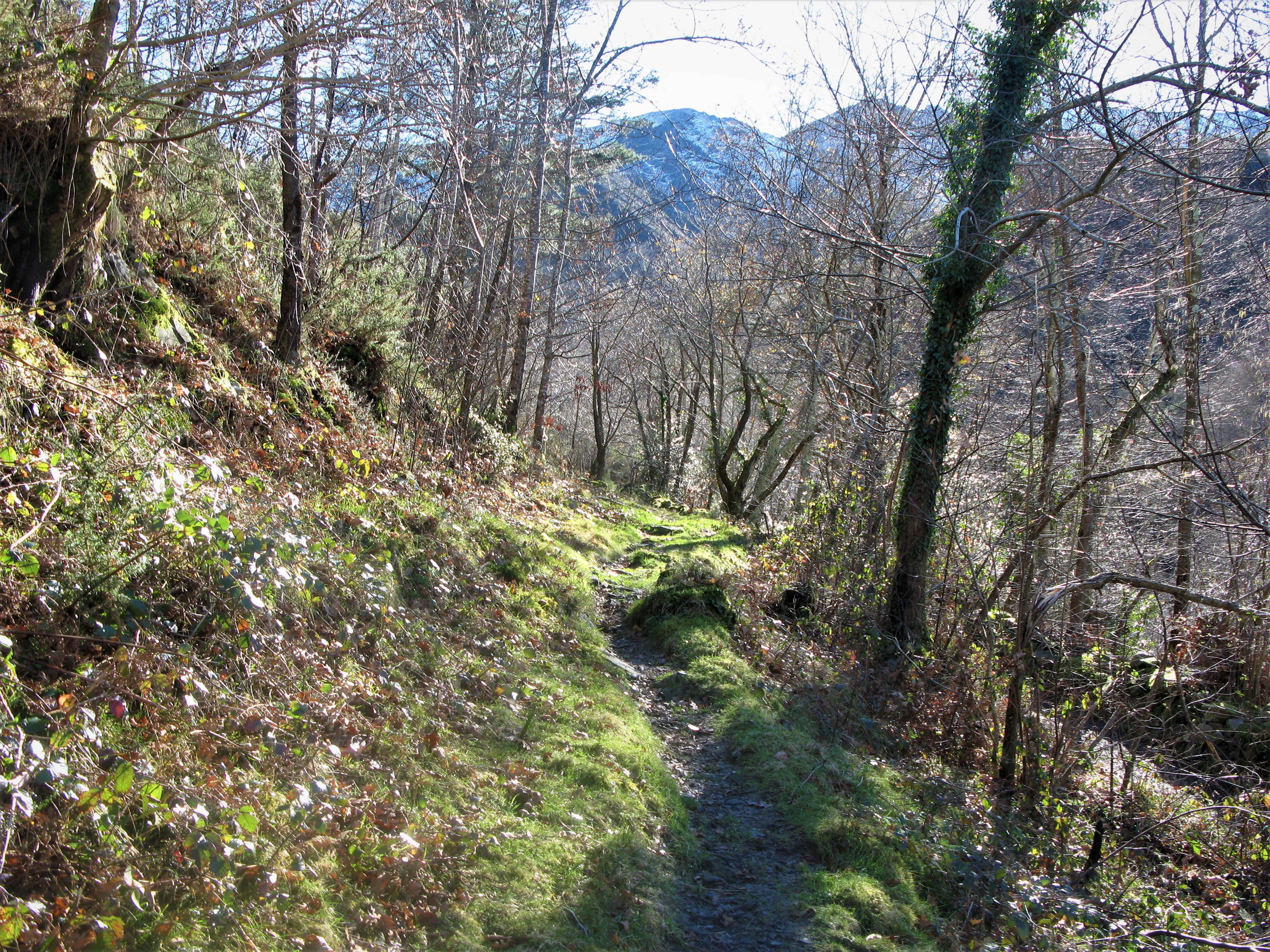 SOLÍN DE FEBRERO