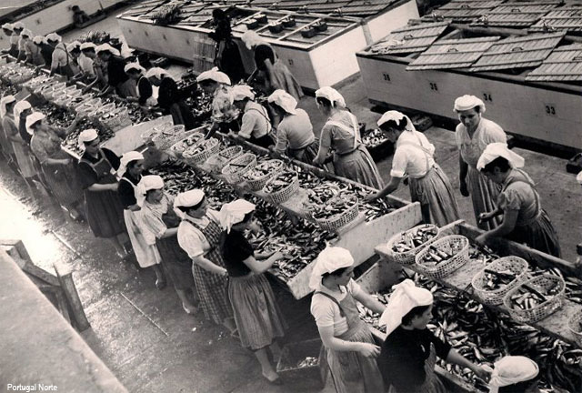 PRESENTACIÓN DE LIBRO DEL CRONISTA OFICIAL DE VIVEIRO (LUGO)