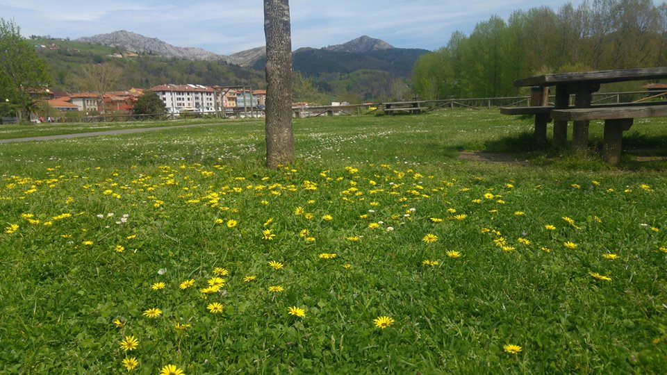 MEMORIAS DEL CONCEJO DE PARRES 1835-1985 (CAPÍTULO XLII)