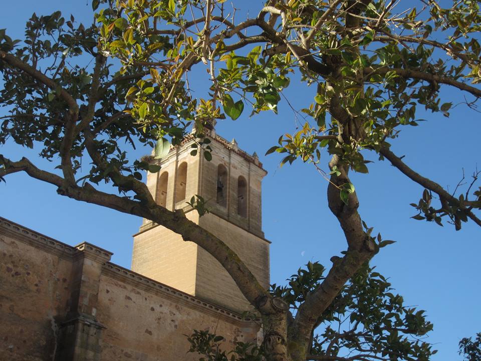 VOZ Y PALABRA DE VIDA