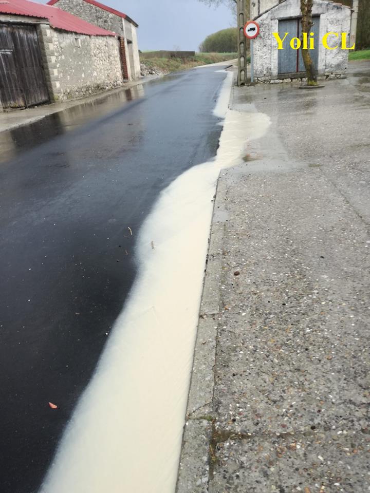 SALUDO FUENTEPIÑELANO 1874