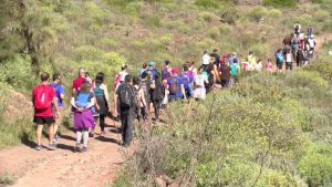 INGENIO (CANARIAS): JORNADA MEDIOAMBIENTAL PARA PRESERVAR LA FAUNA DE LAS MEDIANÍAS DEL MUNICIPIO