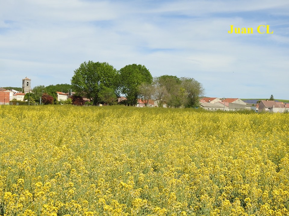 SALUDO FUENTEPIÑELANO-MEMBIBRANO 1913