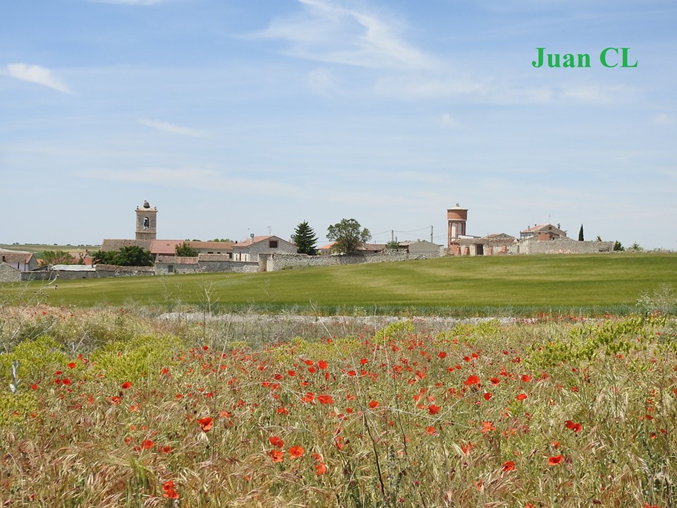 SALUDO FUENTEPIÑELANO 1940