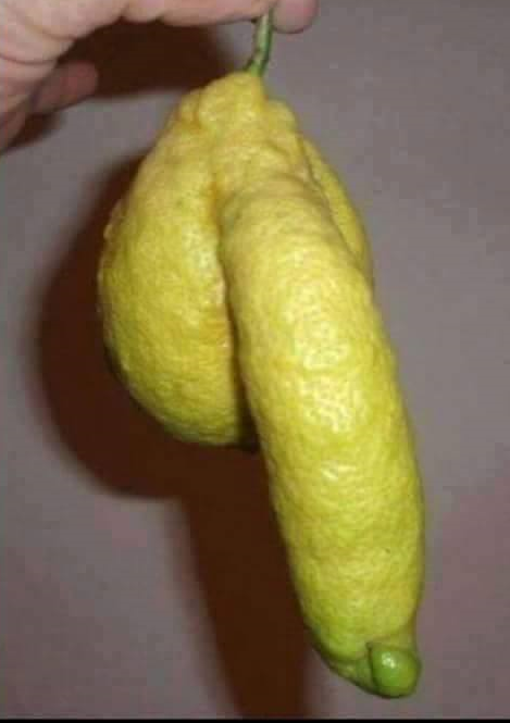FRUTAS Y TENTACIÓN EN LA COCINA