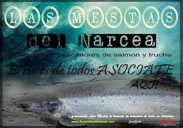 MESTAS DEL NARCEA