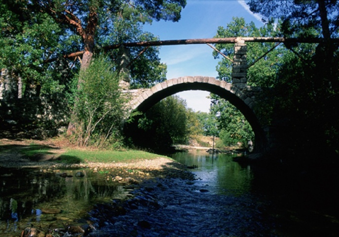 FIDÍPIDES EN LA POZA DEL HUEVO