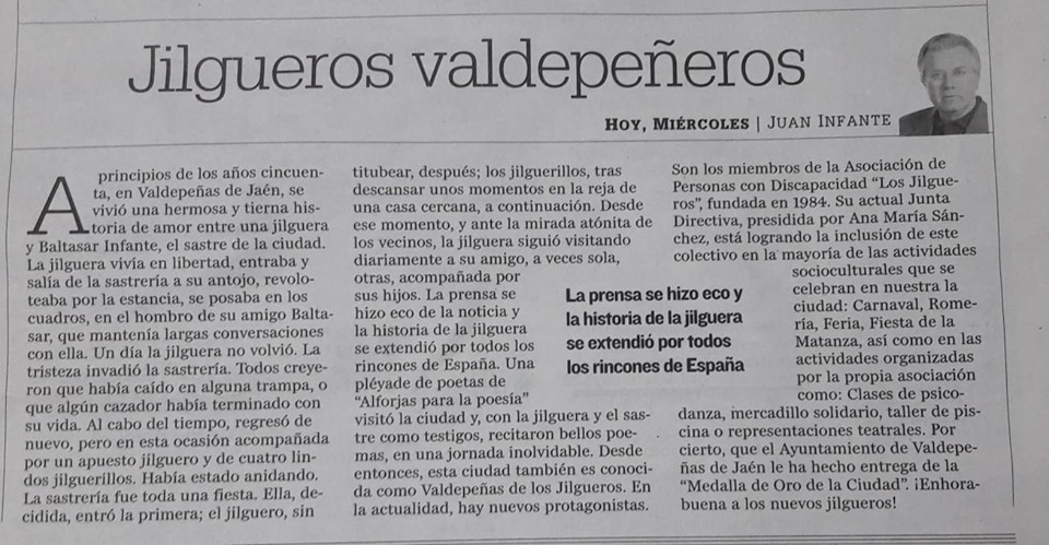 JILGUEROS VALDEPEÑEROS