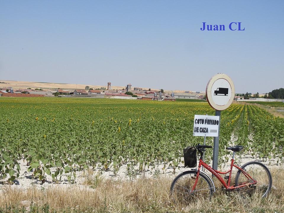 SALUDO FUENTEPIÑELANO 1987