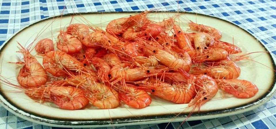 LAS PORTUMALIA Y «LES EGUILES DE RONCHEL».-