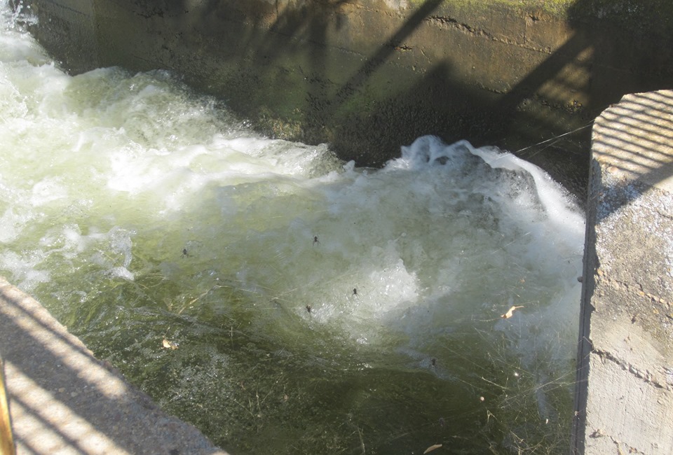 TODO ES MADURAR, COSECHAR Y TRANSFORMAR