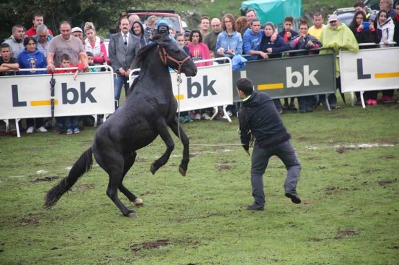 DE ASTURCONES Y DE SANTOS