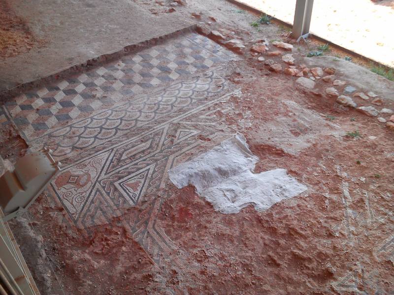 RIOSECO DE SORIA RECLAMA RECUPERAR LA VILLA ROMANA DE LOS QUINTANARES