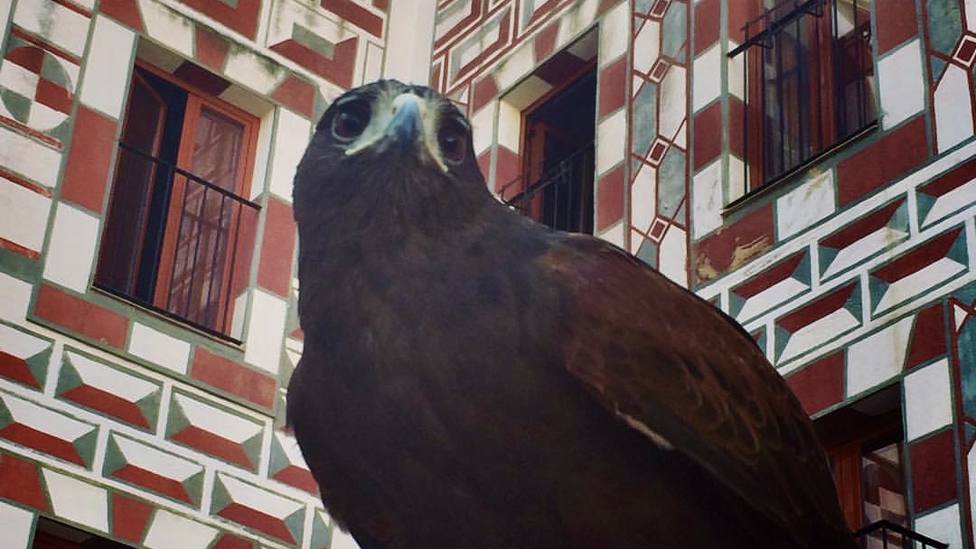 AL MOSSASSA, LA FUNDACIÓN, DESDE EL LUNES REMEMORA EL PASADO ISLÁMICO DE BADAJOZ • UN ENCUENTRO CULTURAL SUPERA FRONTERAS CON EL HERMANAMIENTO CON LA CIUDAD PORTUGUESA DE MARVAO