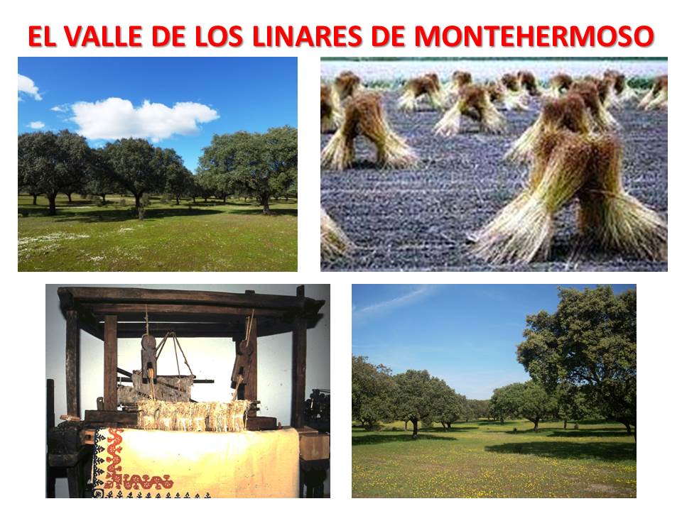 EL VALLE DE LOS LINARES DE MONTEHERMOSO