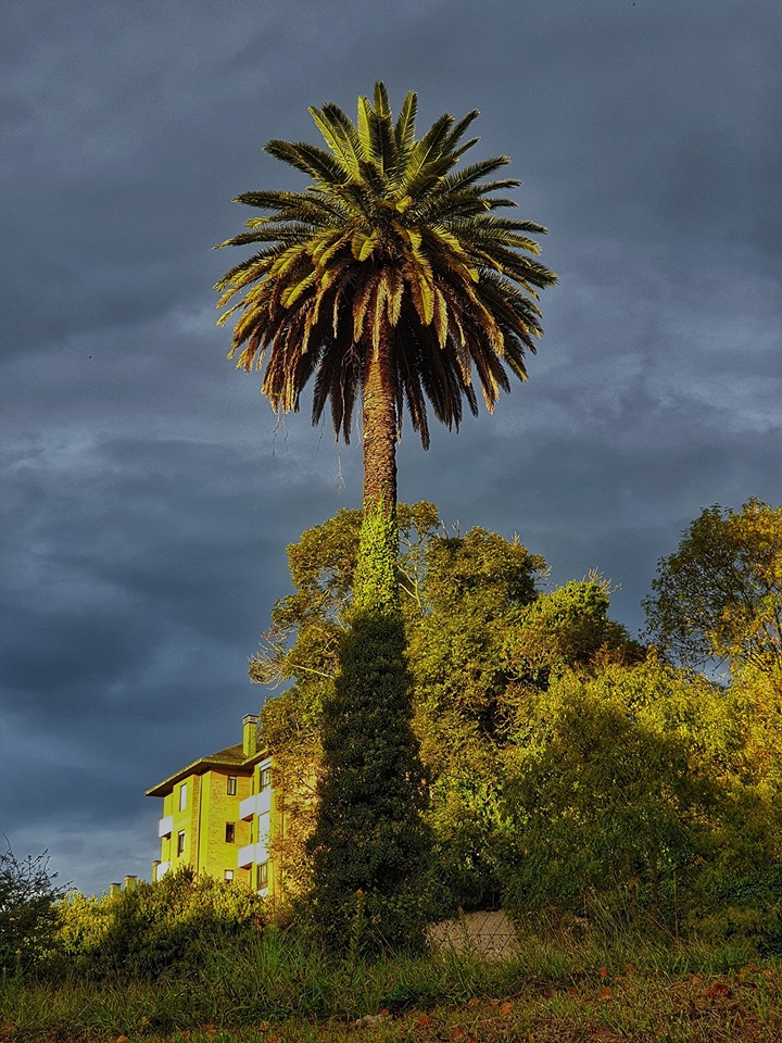AÑO NUEVO EN OTOÑO