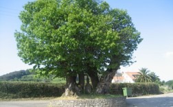 DE «LA POZNERA» A «LA PÍA»