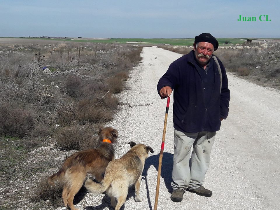 SALUDO FUENTEPIÑELANO-VALLESINO 2103