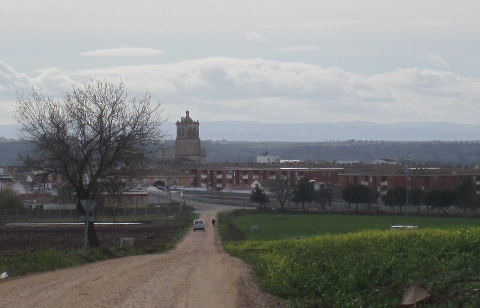 MONTIJO EN ESTOS DÍAS DE NOVIEMBRE, DE SILENCIO Y RECUERDO