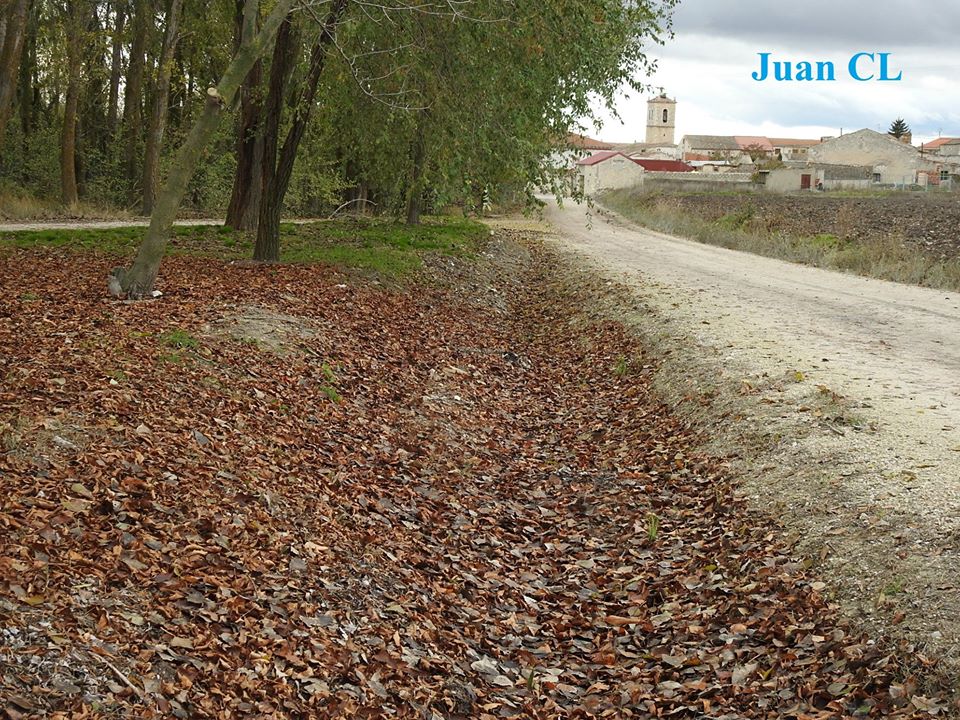 SALUDO FUENTEPIÑELANO 2111