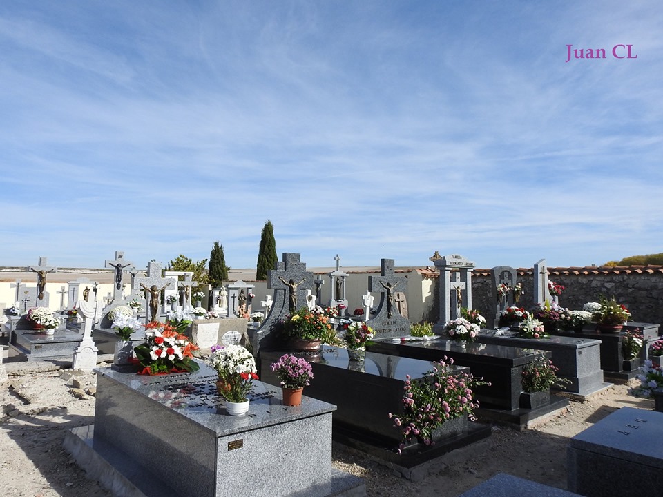 SALUDO FUENTEPIÑELANO-BOLEANO 2099