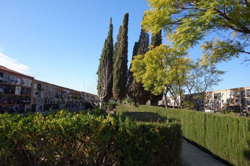 CASINOS CELEBRA LA FIESTA DE TODOS LOS SANTOS EL DÍA 1 DE NOVIEMBRE VISITANDO EL CEMENTERIO