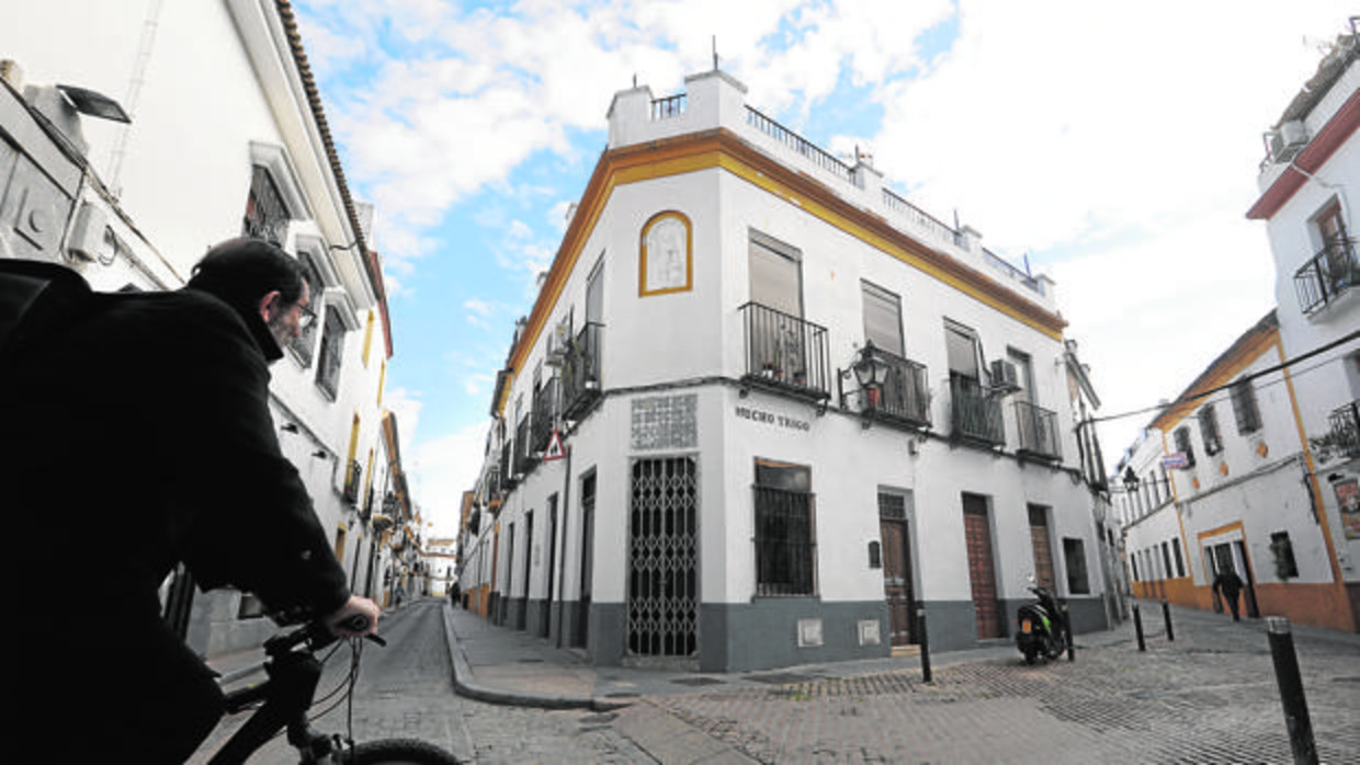 MUCHO TRIGO: ALMA DE PUEBLO Y TRÁNSITO DE GRANO