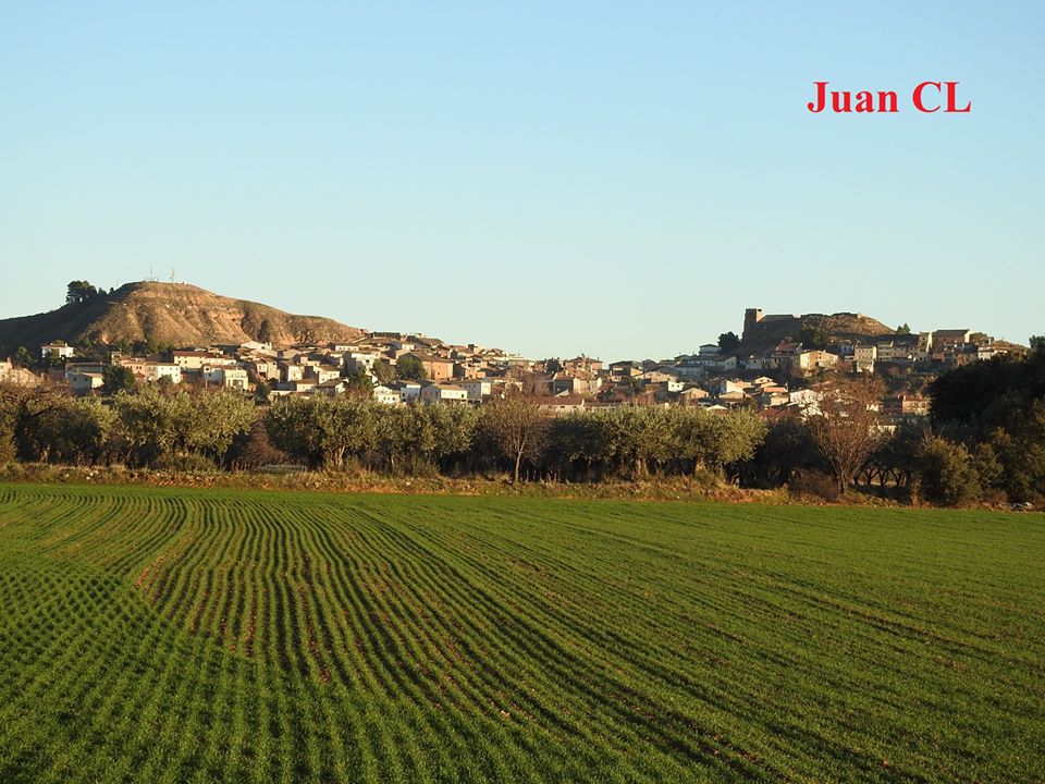 SALUDO FUENTEPIÑELANO-BOLEANO 2152