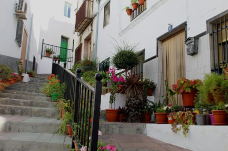 CRÓNICA BEDMARENSE DEL MES DE ENERO DE 2020