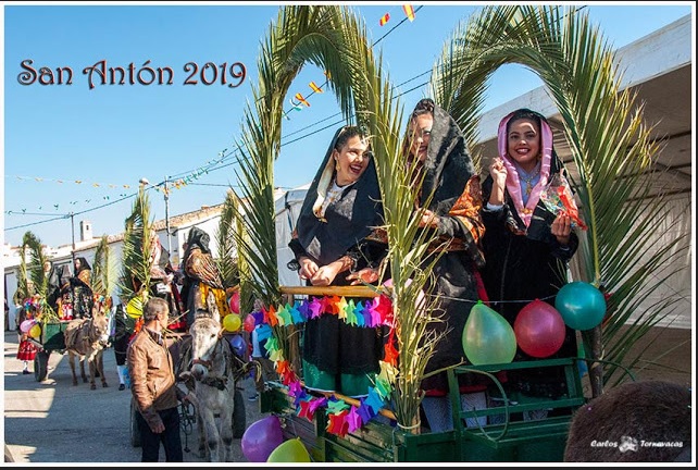 APOYO A LA FIESTA DE SAN ANTÓN