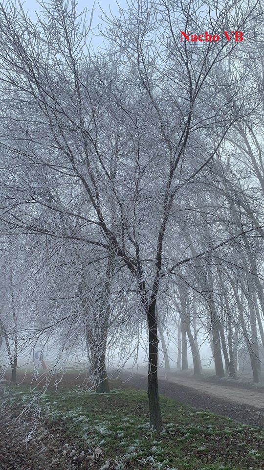 SALUDO FUENTEPIÑELANO 2172