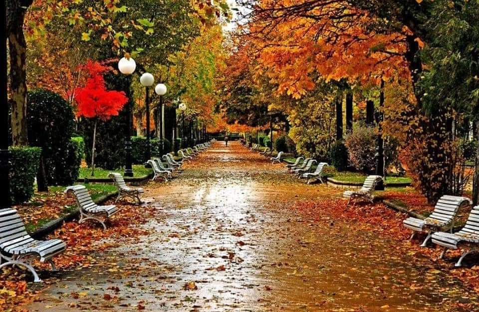 YA ESTAMOS EN OTOÑO…