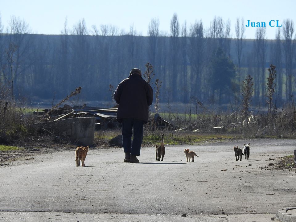 SALUDO FUENTEPIÑELANO 2220