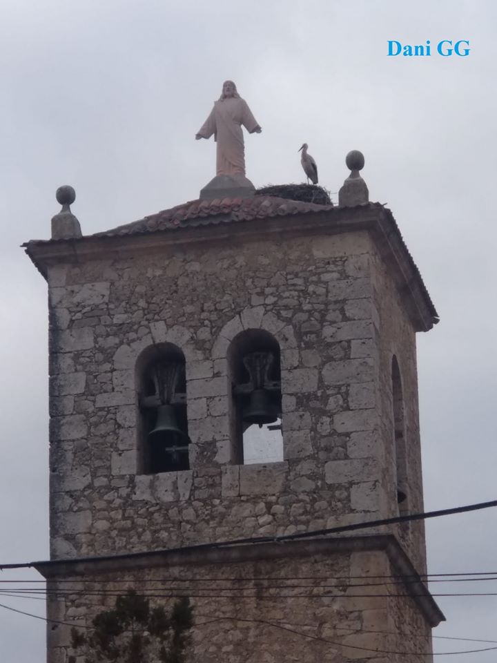SALUDO FUENTEPIÑELANO 2201