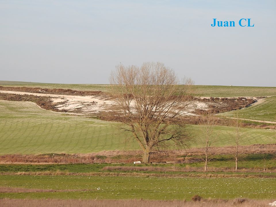 SALUDO FUENTEPIÑELANO 2233